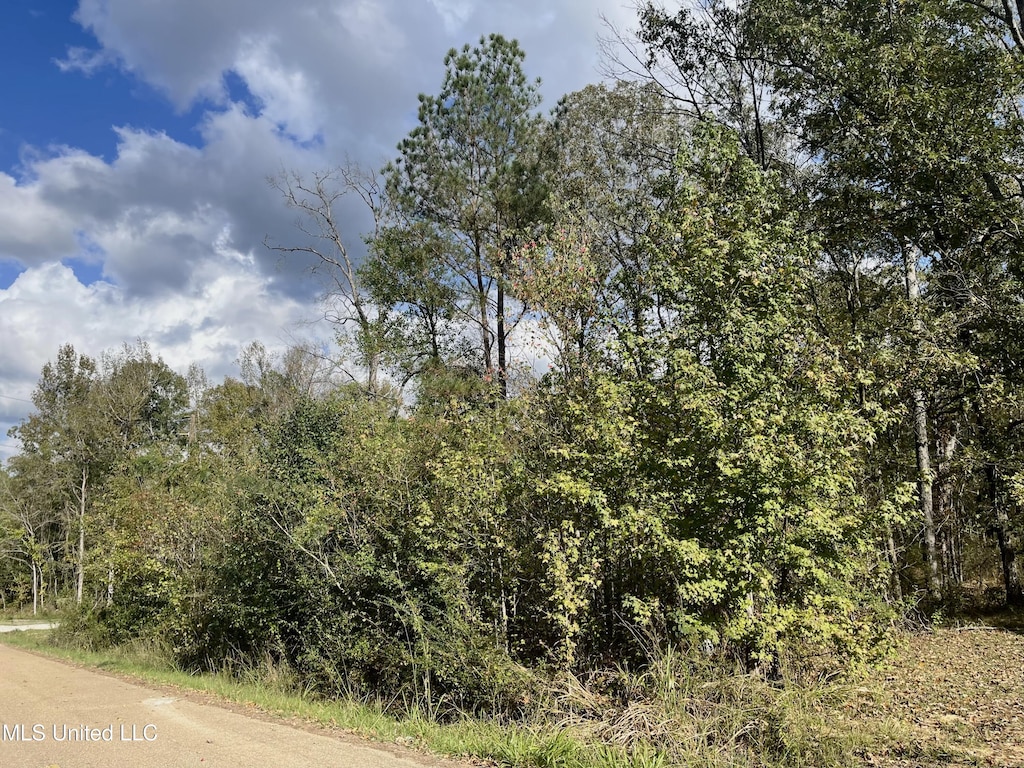 0 W Lake Dockery Dr, Byram, MS 39272