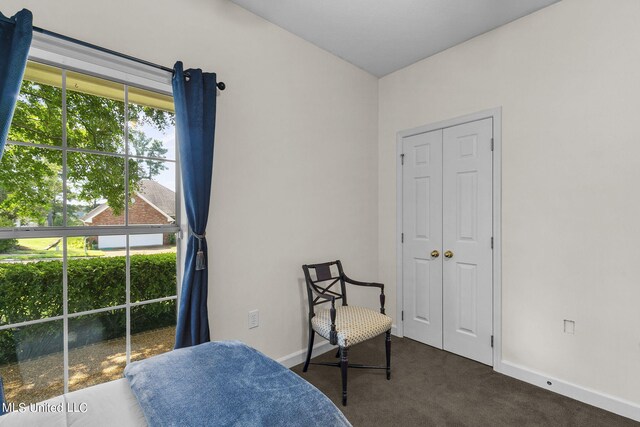 sitting room featuring dark carpet