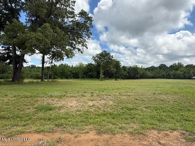 Cedar Crest Cv, Byhalia MS, 38611 land for sale