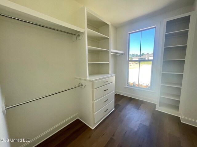 spacious closet with dark hardwood / wood-style floors