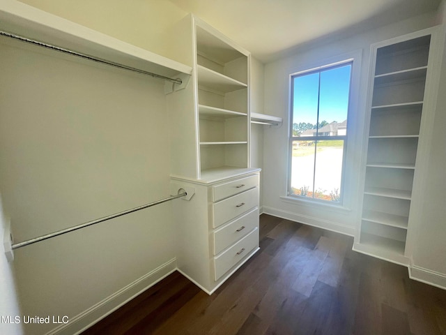 352 Wellstone Pl, Madison, MS 39110 - spacious closet featuring dark wood-style flooring