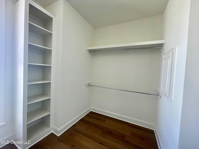 walk in closet featuring dark hardwood / wood-style flooring