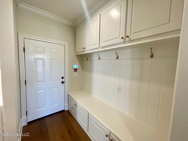 mudroom with ornamental molding and dark wood-type flooring