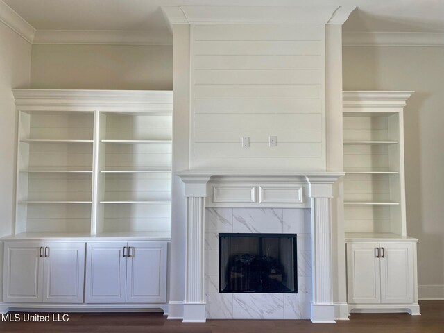 room details featuring a premium fireplace, hardwood / wood-style floors, built in shelves, and ornamental molding