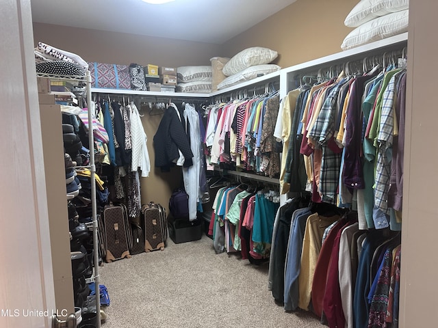 8101 Pecan Ridge Dr, Moss Point, MS 39562 - walk in closet with carpet floors