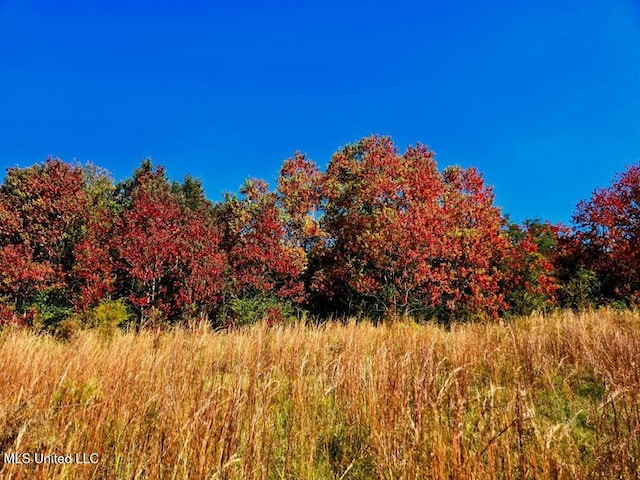 Jl Robbins Rd, Carson MS, 39427 land for sale