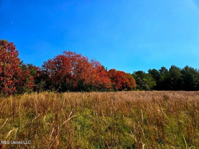 Listing photo 2 for Jl Robbins Rd, Carson MS 39427