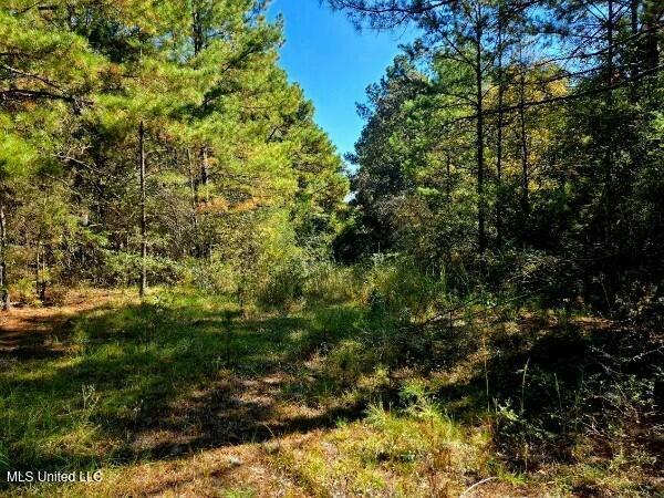 Listing photo 3 for Jl Robbins Rd, Carson MS 39427