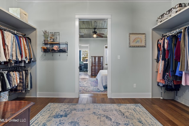 walk in closet featuring wood finished floors and ceiling fan