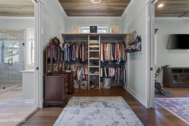 walk in closet featuring wood finished floors