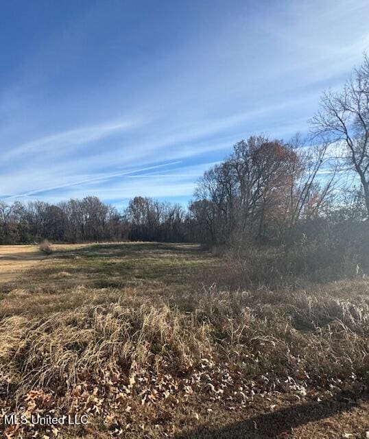 6175 Tucker Ridge Rd, Walls MS, 38680 land for sale