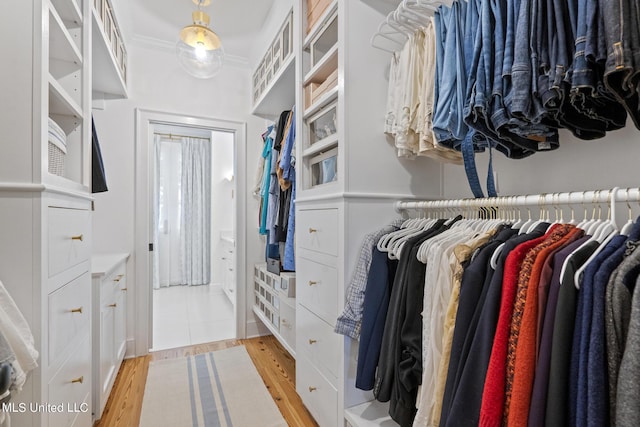 walk in closet featuring light wood-style floors