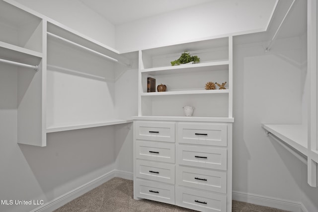 spacious closet with carpet flooring