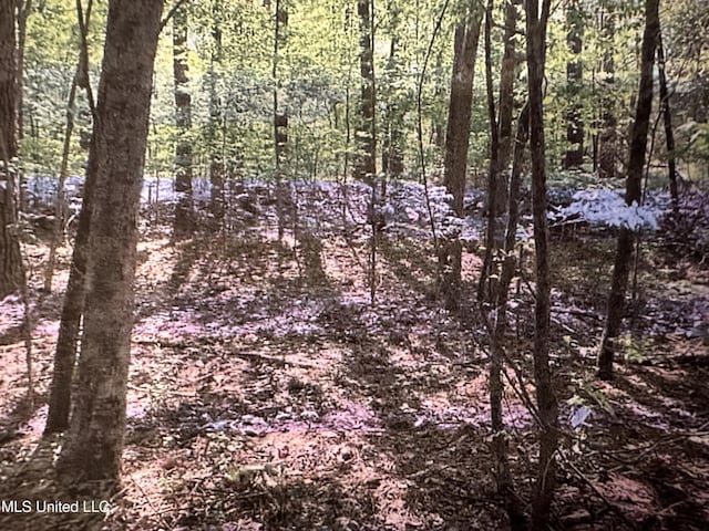 Stigler Rose Dr, Florence MS, 39073 land for sale