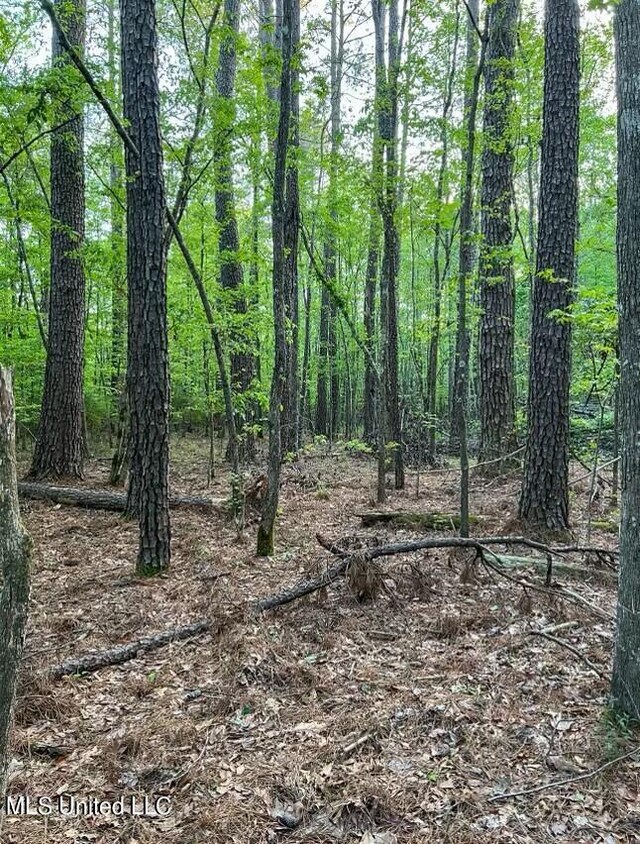 00 Ashley Rd, Brandon, MS 39042