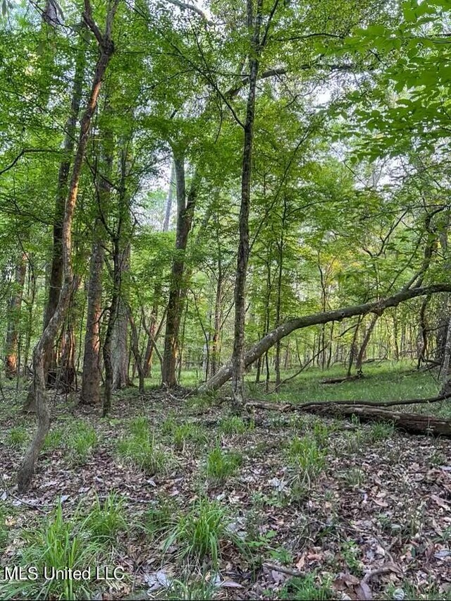 00 Ashley Rd, Brandon, MS 39042