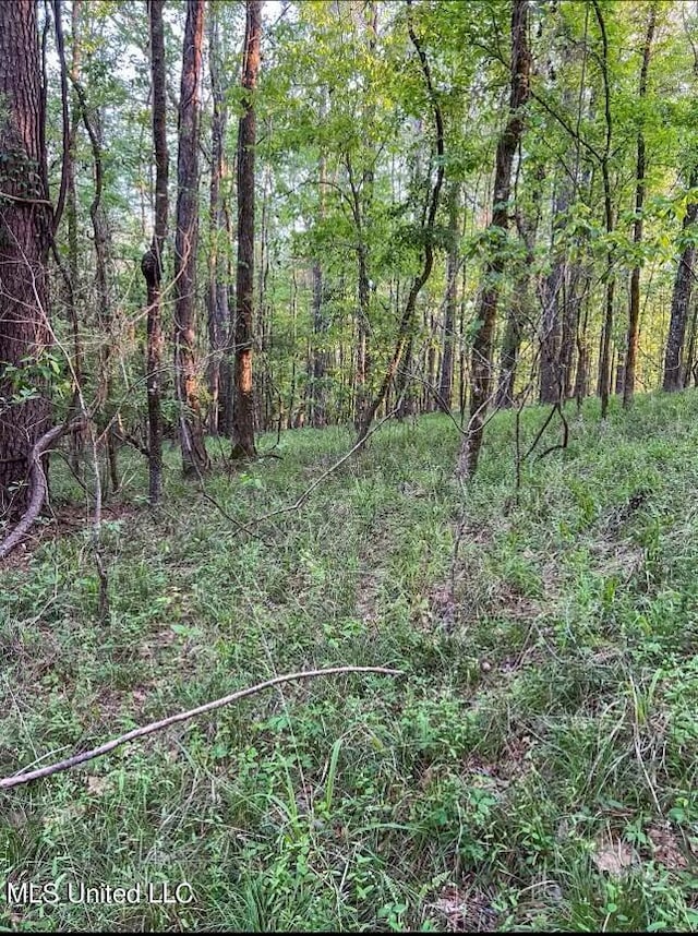 00 Ashley Rd, Brandon, MS 39042