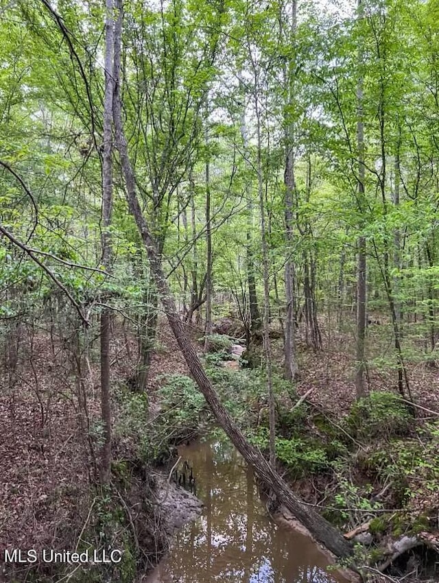 00 Ashley Rd, Brandon, MS 39042