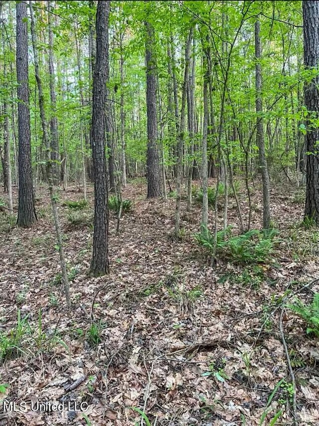 00 Ashley Rd, Brandon, MS 39042