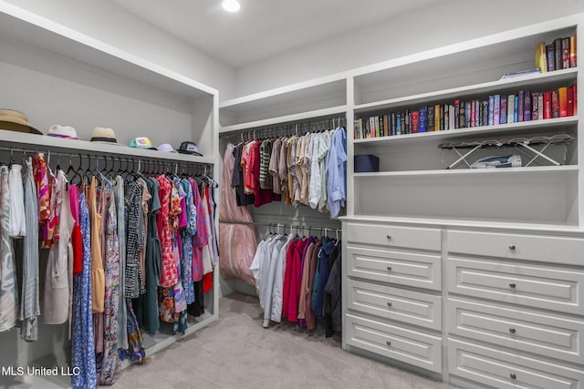 spacious closet with carpet floors