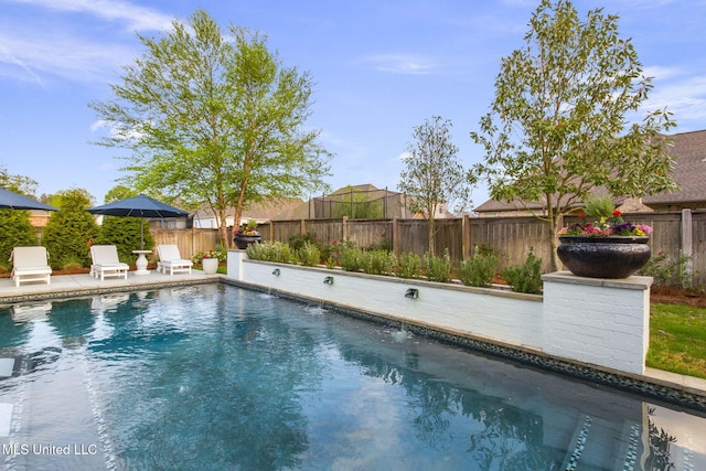 view of swimming pool featuring a fenced backyard, a fenced in pool, and a patio area