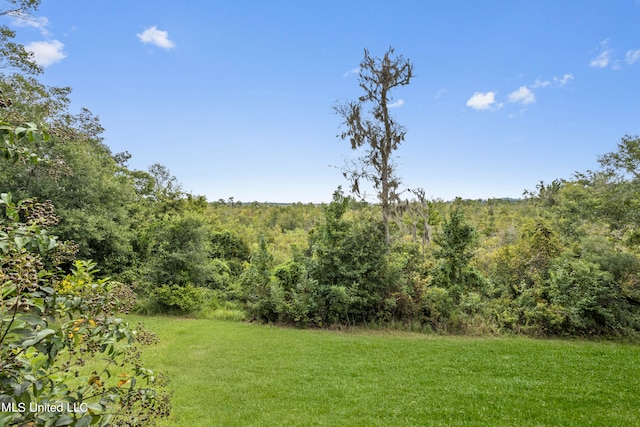 view of yard with a view of trees