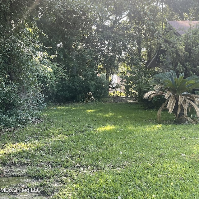 109 Evergreen Dr, Diberville, MS 39540 - view of green lawn