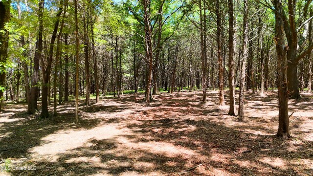 150 Central Blvd, Flora, MS 39071