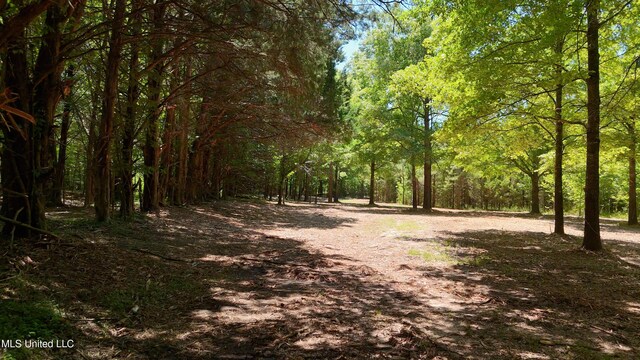 150 Central Blvd, Flora, MS 39071