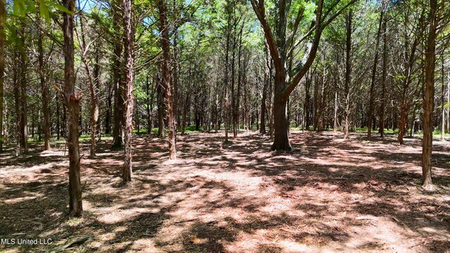 150 Central Blvd, Flora, MS 39071