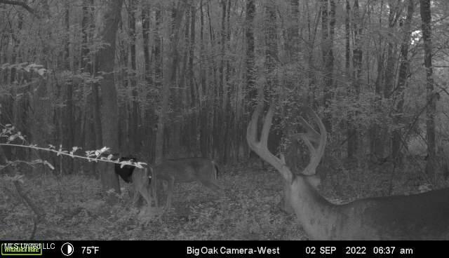 150 Central Blvd, Flora, MS 39071