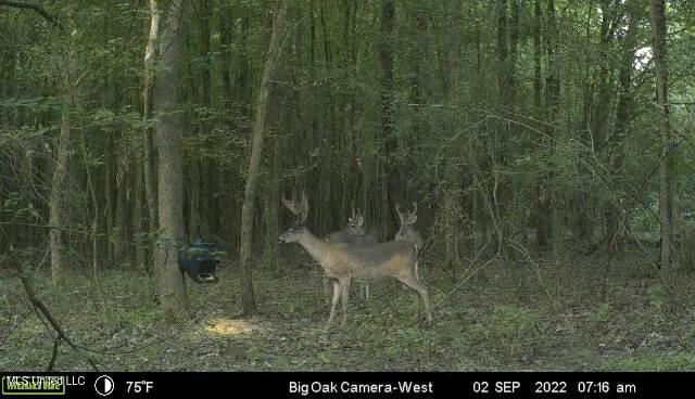 150 Central Blvd, Flora, MS 39071