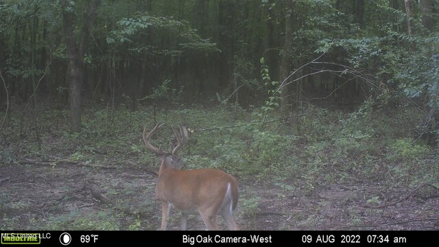 150 Central Blvd, Flora, MS 39071