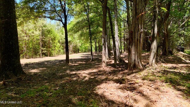 150 Central Blvd, Flora, MS 39071