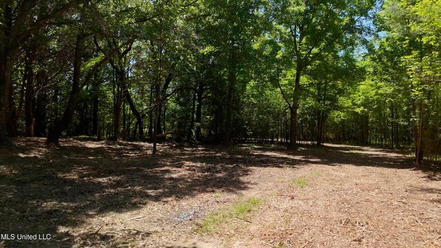 150 Central Blvd, Flora, MS 39071