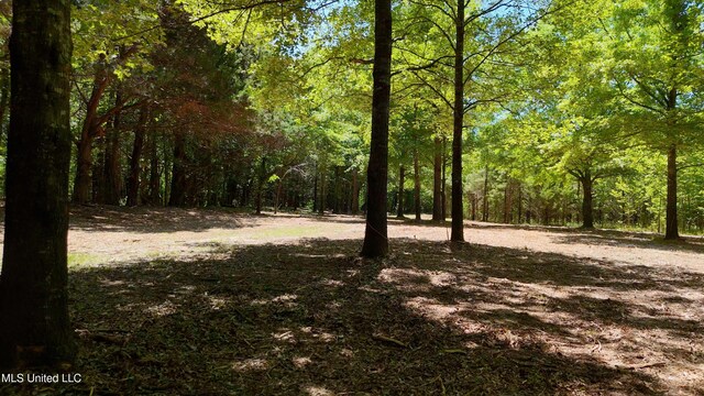 150 Central Blvd, Flora, MS 39071