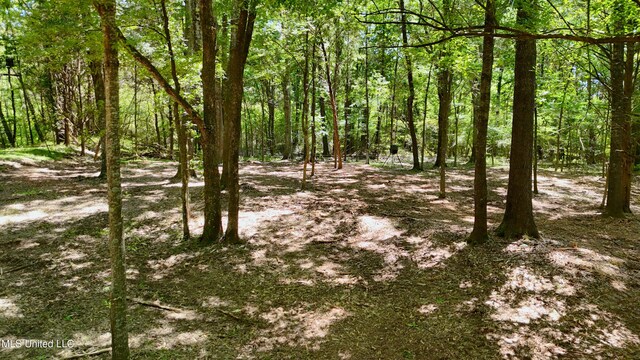 150 Central Blvd, Flora, MS 39071