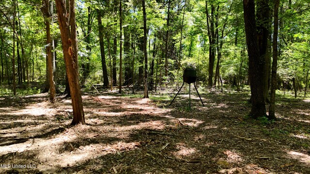 150 Central Blvd, Flora, MS 39071