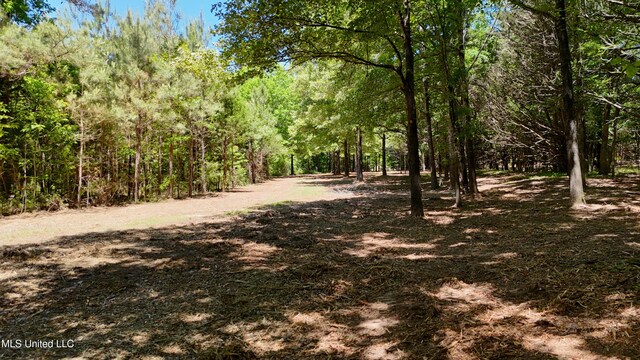 150 Central Blvd, Flora, MS 39071