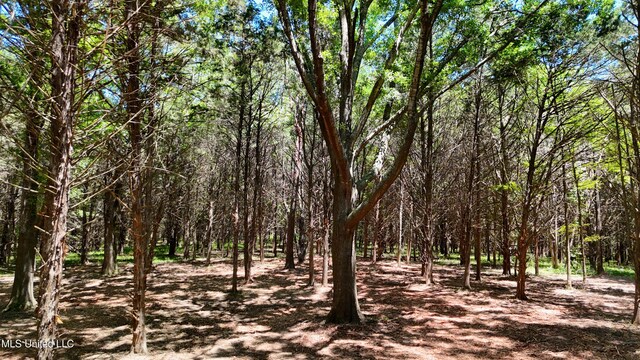 150 Central Blvd, Flora, MS 39071