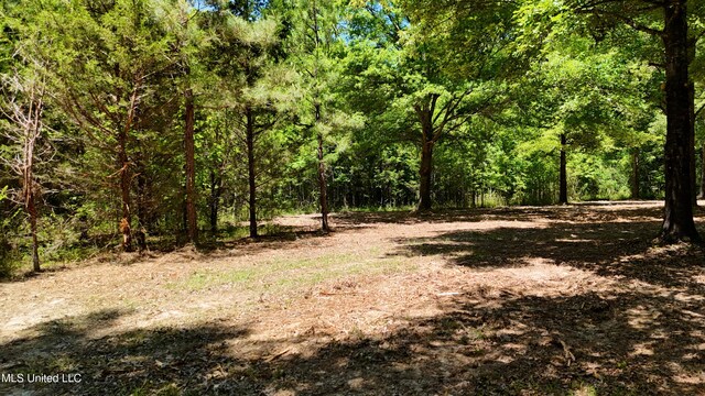 150 Central Blvd, Flora, MS 39071