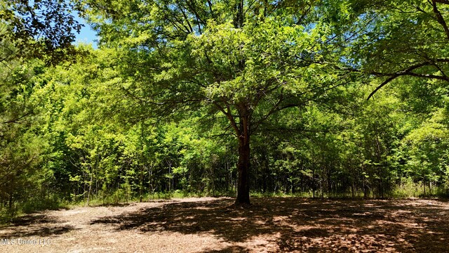 150 Central Blvd, Flora, MS 39071