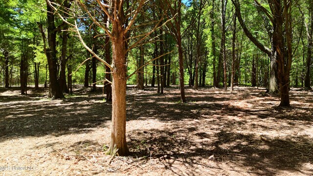 150 Central Blvd, Flora, MS 39071
