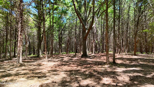 150 Central Blvd, Flora, MS 39071