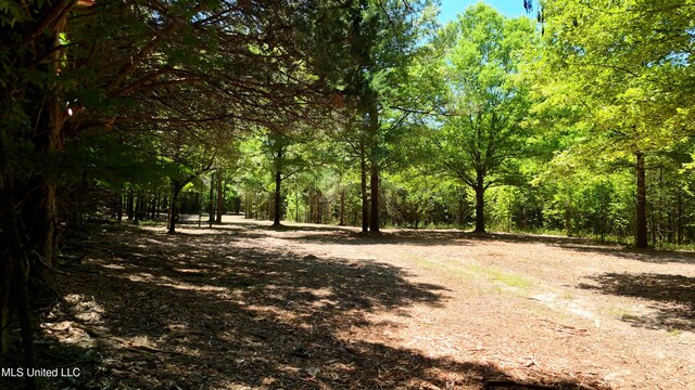 150 Central Blvd, Flora, MS 39071