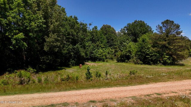 150 Central Blvd, Flora, MS 39071