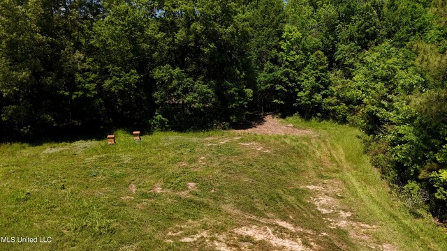150 Central Blvd, Flora, MS 39071