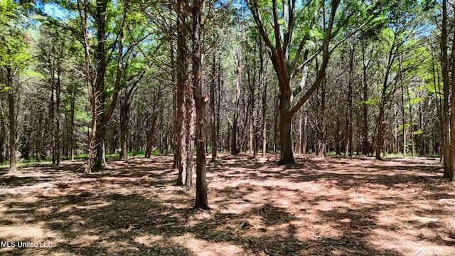 150 Central Blvd, Flora, MS 39071