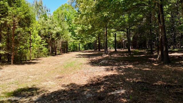 150 Central Blvd, Flora, MS 39071