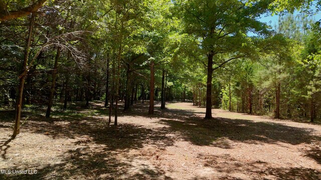 150 Central Blvd, Flora, MS 39071